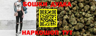 спиды Новодвинск