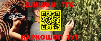спиды Новодвинск
