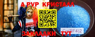 спиды Новодвинск