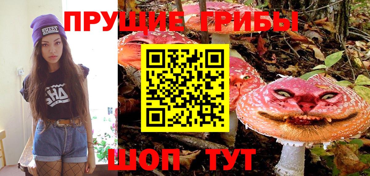 Галлюциногенные грибы Psilocybe Сегежа