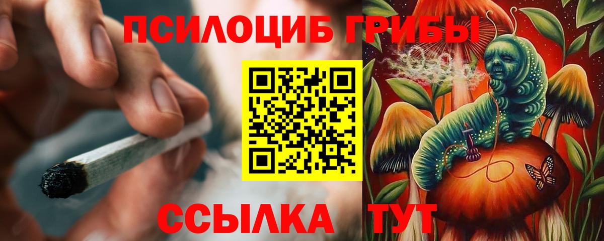 Псилоцибиновые грибы мицелий  Вход с VPN  Сегежа  Галлюциногенные грибы MAGIC MUSHROOMS 
